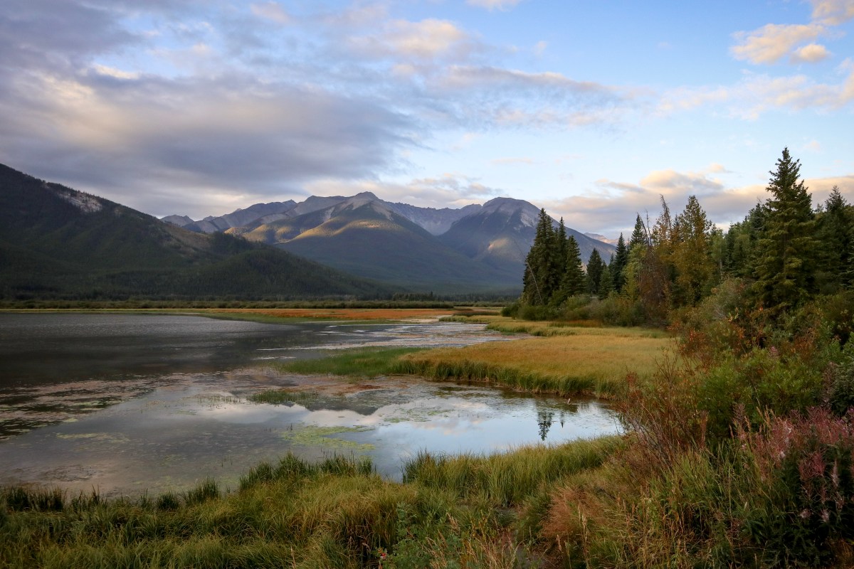 Im Westen Nichts&nbsp;Neues