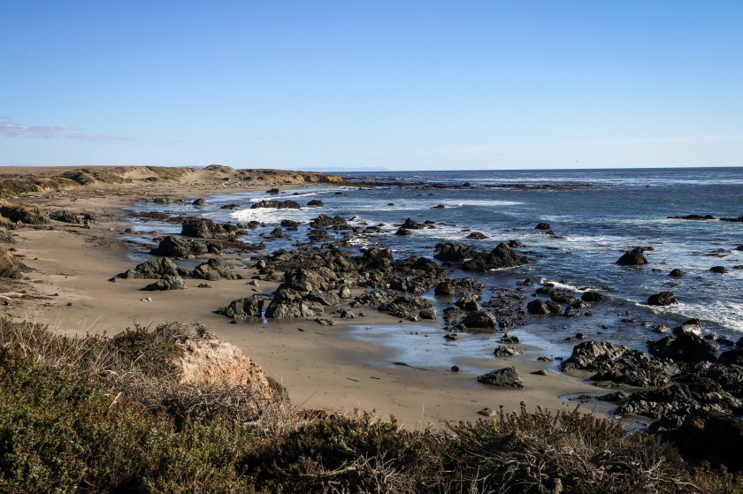 1AEF01FC-143C-4FE2-B94B-C66763CB2048