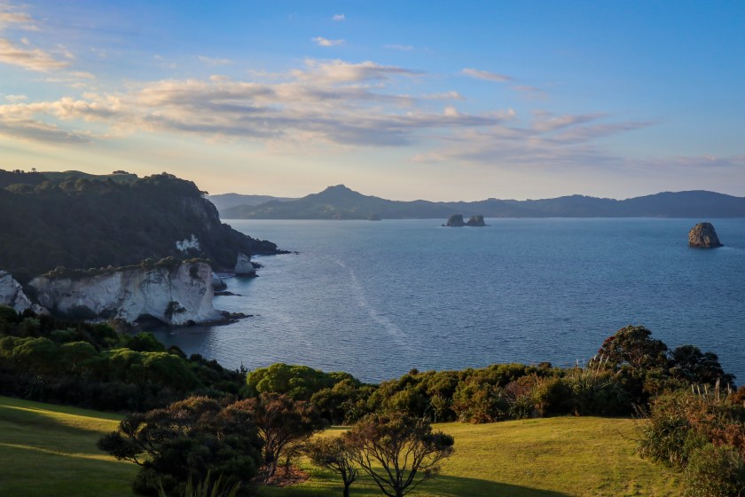 14F56ED4-88CF-4CC1-83AF-8AD8579CE893