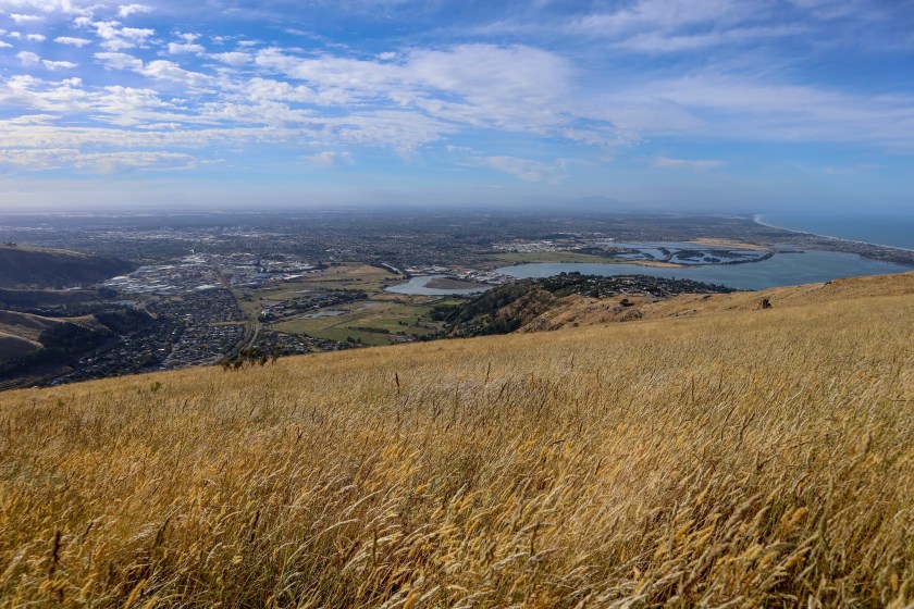 2BC74FA3-7B10-4E2D-8F43-A0197622DEAB