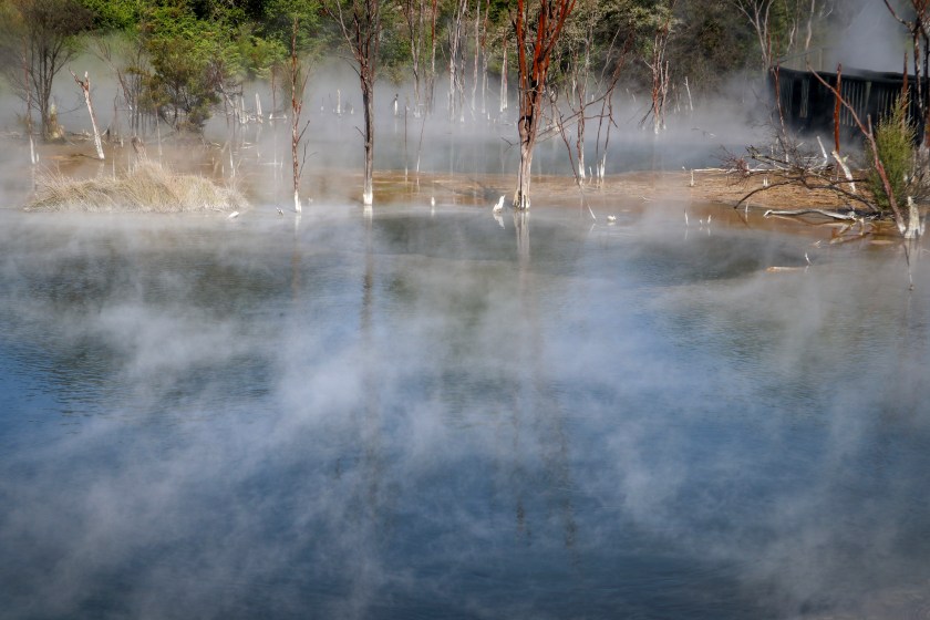 ACDE8721-5197-411D-AD6A-C18A4713BCE2