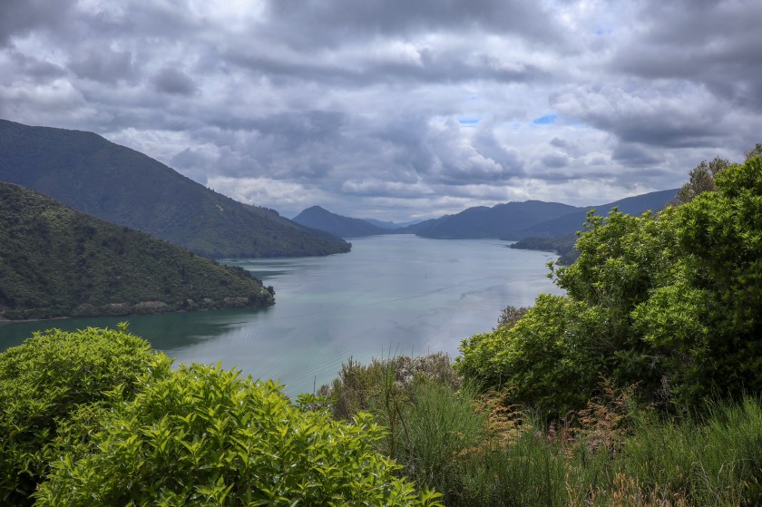 E51BA35F-7CE6-4503-9673-30B36B88DFD1